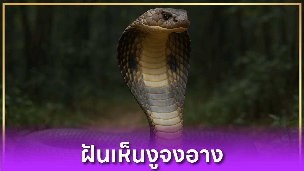 ฝันเห็นงูจงอาง