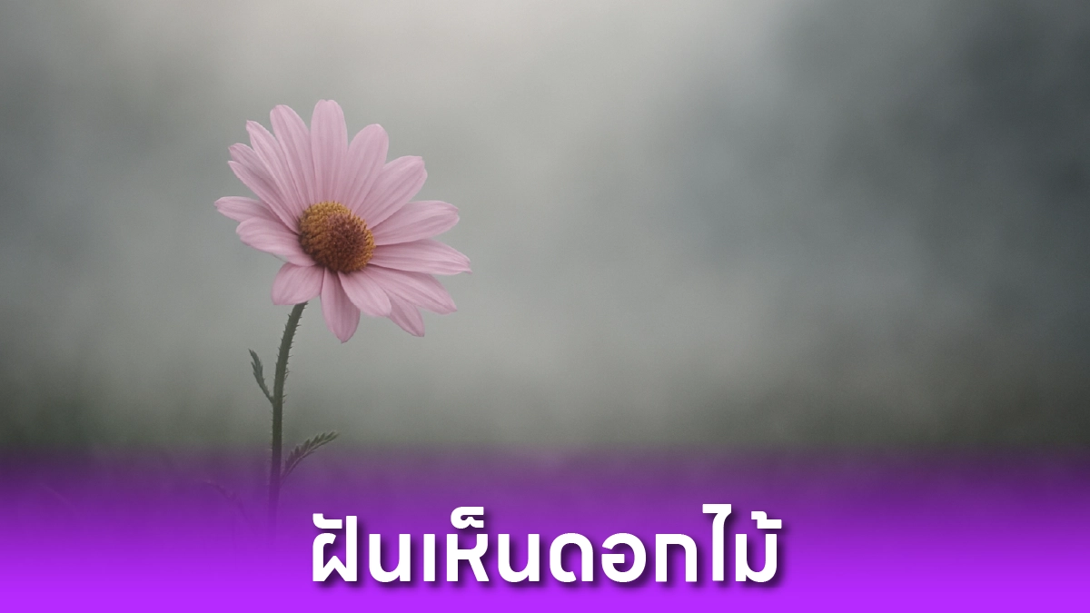 ฝันเห็นดอกไม้