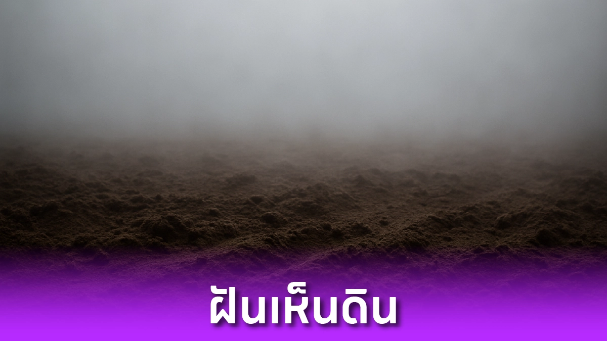 ฝันเห็นดิน
