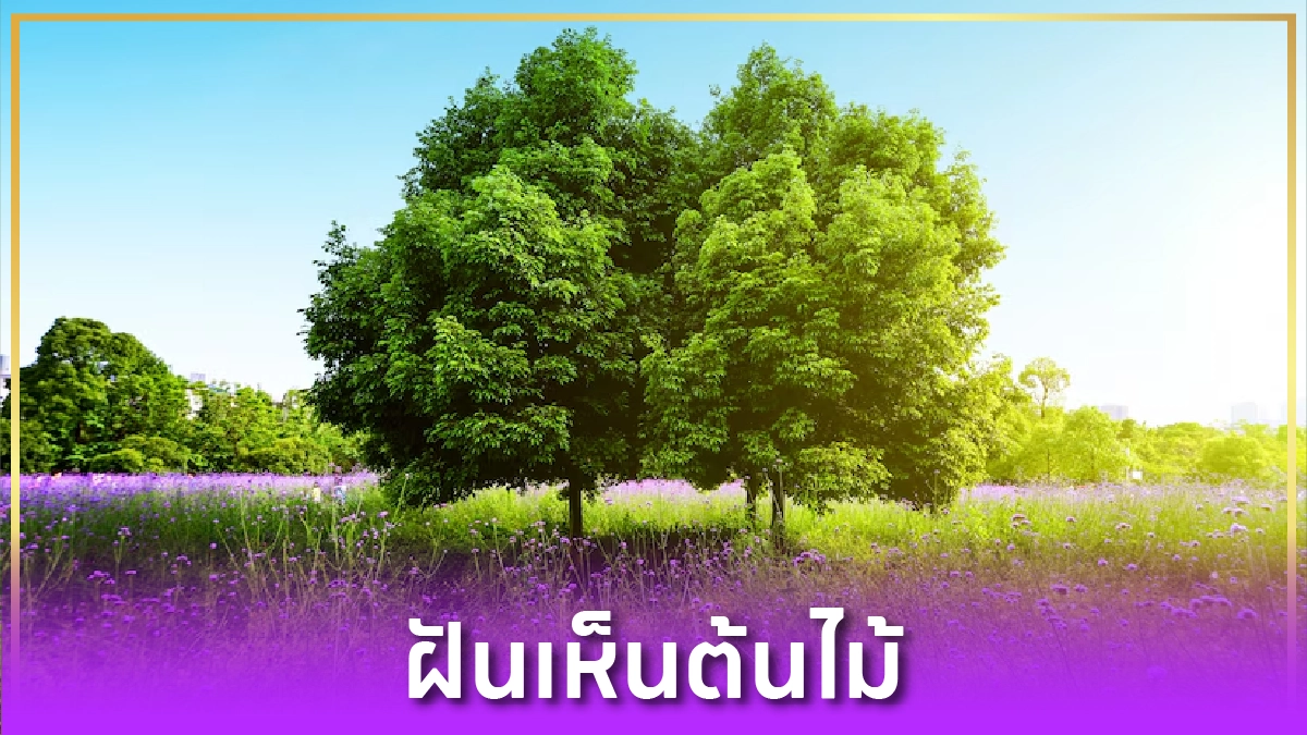 ฝันเห็นต้นไม้