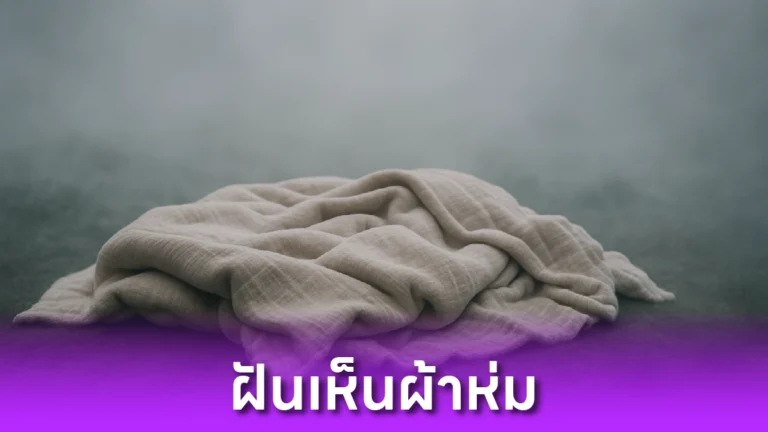 ฝันเห็นผ้าห่ม