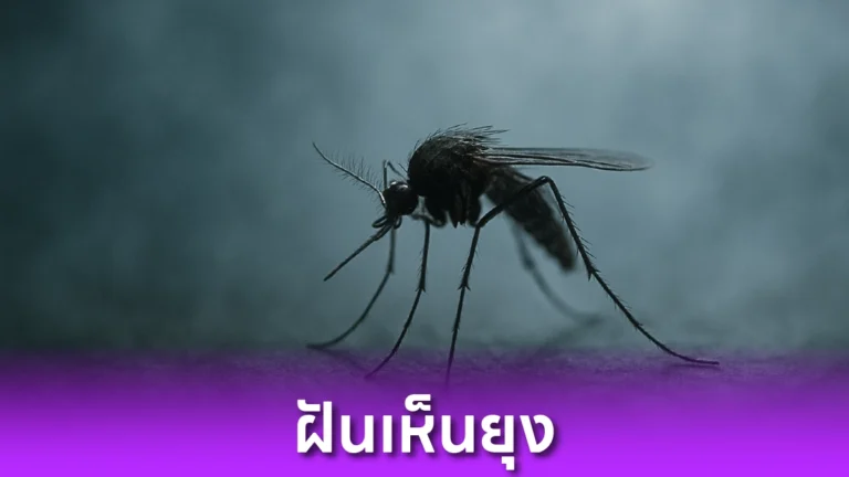 ฝันเห็นยุง