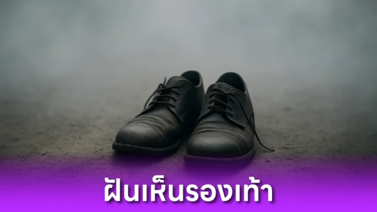 ฝันเห็นรองเท้า