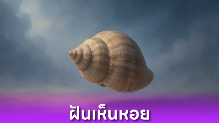 ฝันเห็นหอย หมายความว่าอะไร?