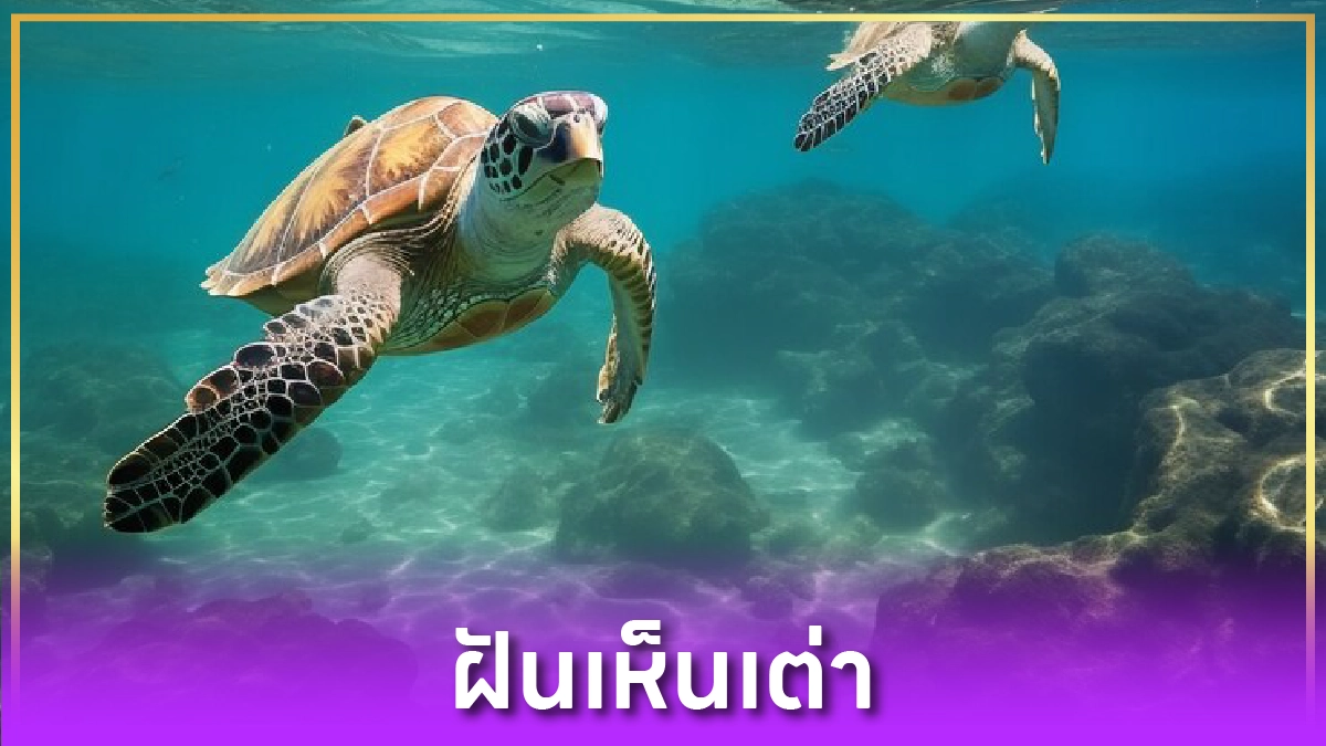 ฝันเห็นเต่า